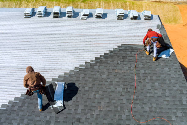 Best Local Roofing Companies  in Lford, MI