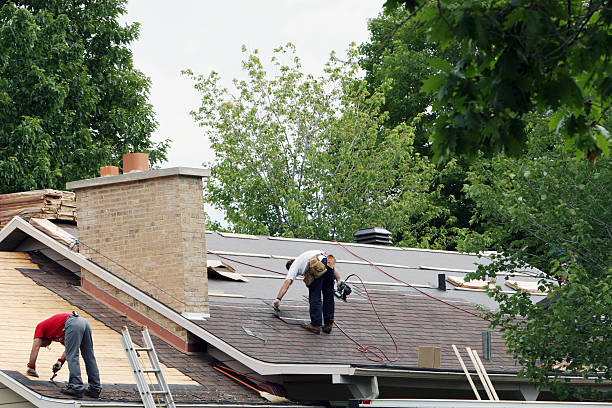 Best Roof Gutter Cleaning  in Lford, MI