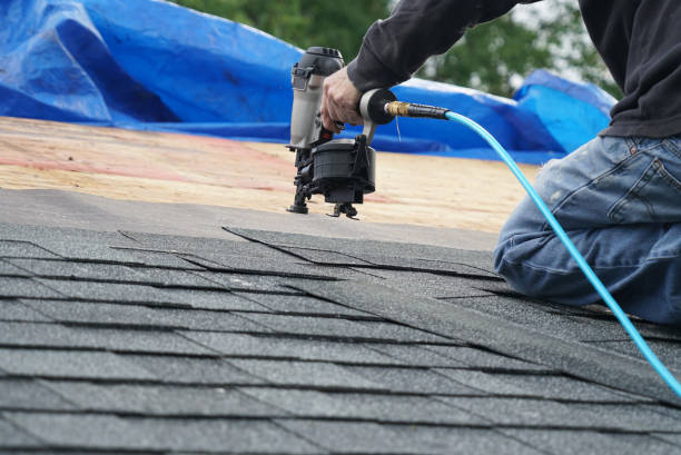 Best Metal Roofing Contractor  in Lford, MI