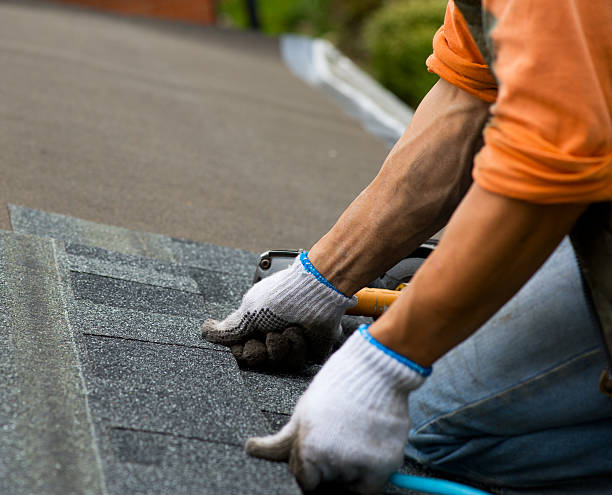 Best Roof Leak Repair  in Lford, MI