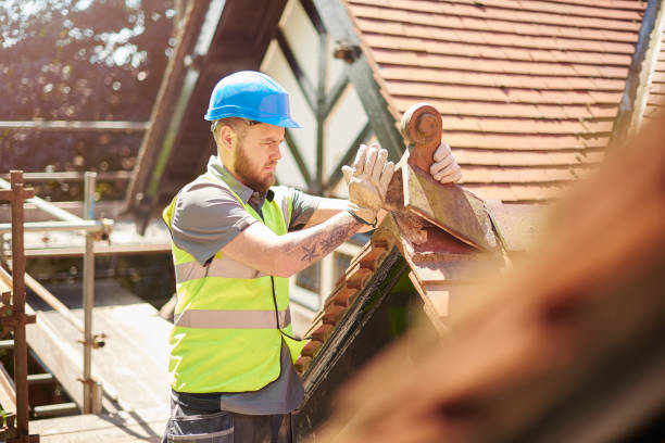 Best Storm Damage Roof Repair  in Lford, MI