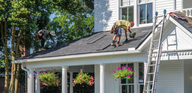 Best Gutter Installation and Roofing  in Lford, MI
