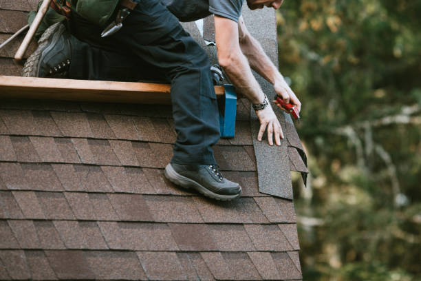 Best Storm Damage Roof Repair  in Lford, MI